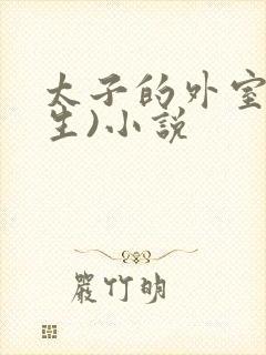 太子的外室(重生)小说