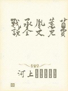 战承胤叶苜苜小说全文免费