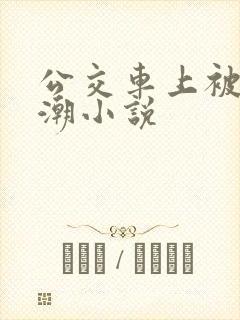 公交车上被弄高潮小说