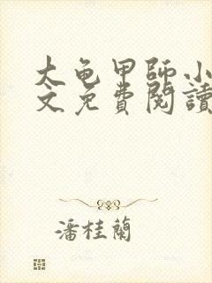 大龟甲师小说全文免费阅读免费