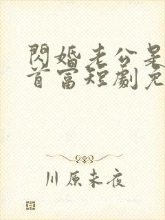 闪婚老公是千亿首富短剧免费下载