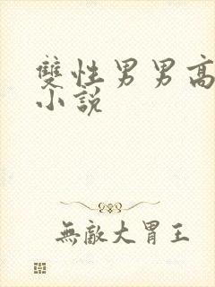 双性男男高污h小说
