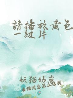 请播放黄色录像一级片