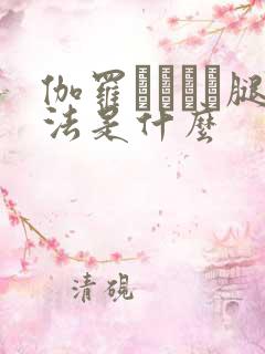 伽罗ちゃんが腿法是什么