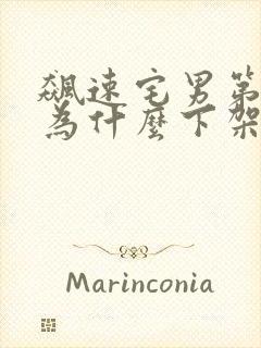 飙速宅男第一季为什么下架了