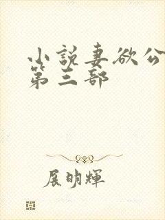 小说妻欲公与媳第三部