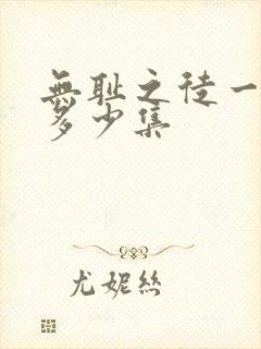 无耻之徒一共有多少集