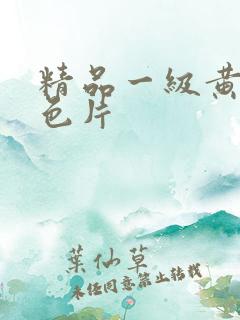 精品一级黄色情色片