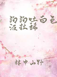 狗狗吐白色的黏液拉稀