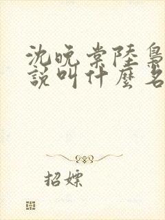 沈晚棠陆枭礼小说叫什么名字