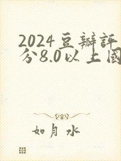 2024豆瓣评分8.0以上国产连续剧
