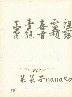 正青春电视剧免费观看赵露思