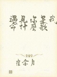 遇见你是我的宿命什么歌