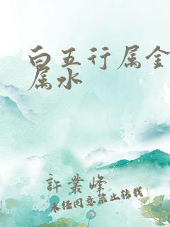 白五行属金还是属水