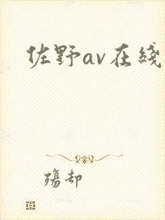佐野av在线