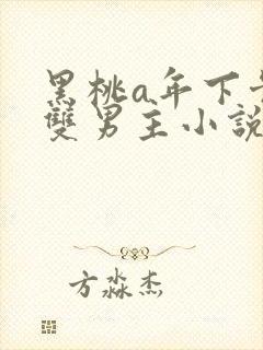 黑桃a年下骨科双男主小说