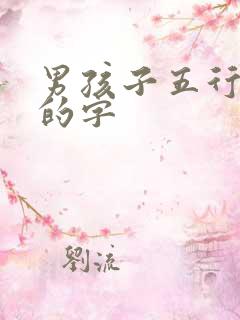 男孩子五行属火的字