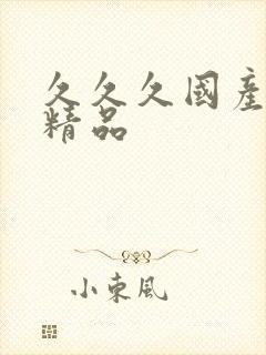 久久久国产成人精品