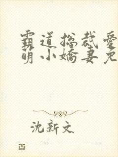 霸道总裁爱上呆萌小娇妻免费观看短剧