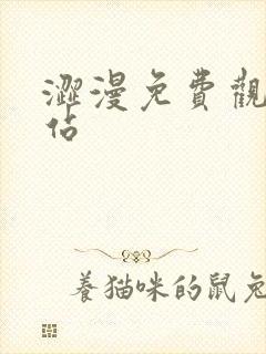 涩漫免费观看网站