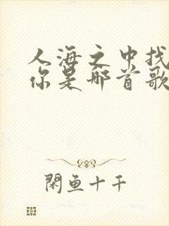 人海之中找到了你是哪首歌的歌词