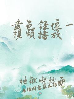 黄色录像一级片视频播放