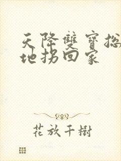 天降双宝总裁爹地拐回家