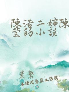 陈浩二婶陈丽陈莹的小说