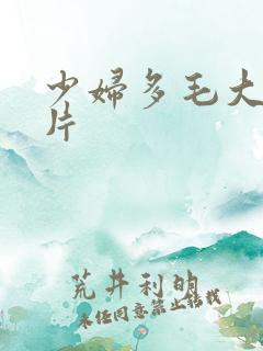 少妇多毛大逼毛片