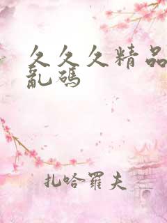 久久久精品国产乱码