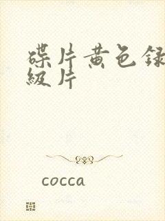 碟片黄色录像一级片