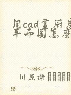 用cad画厨房平面图怎么画