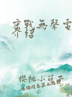 密战无声电视剧介绍