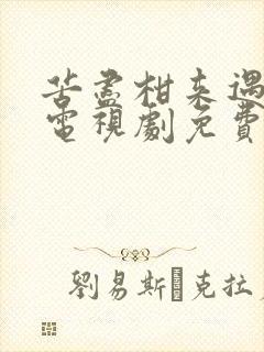 苦尽柑来遇见你电视剧免费观看中文版