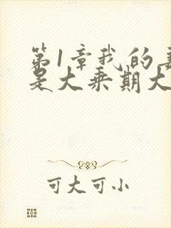 第1章我的妻子是大乘期大佬