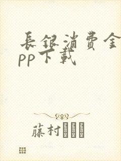 长银消费金融app下载