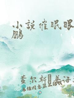 小说催眠眼镜王鹏