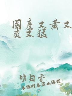 国产又黄又大又爽又猛