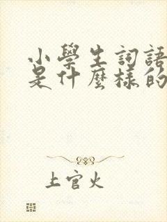 小学生词语本子是什么样的