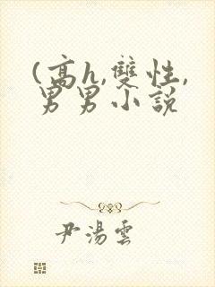 (高h,双性,男男小说