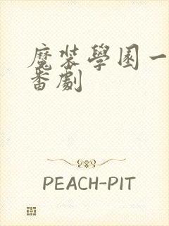 魔装学园一样的番剧