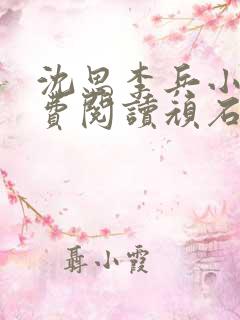 沈思李兵小说免费阅读顽石网