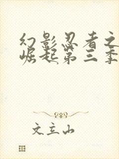 幻影忍者之神龙崛起第三季中文版