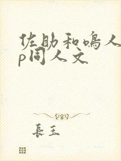 佐助和鸣人的cp同人文