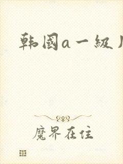 韩国a一级片