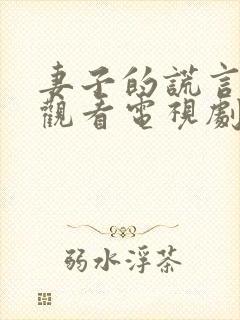 妻子的谎言免费观看电视剧