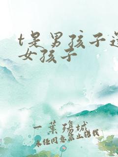 t是男孩子还是女孩子