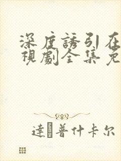 深度诱引在线电视剧全集免费观看