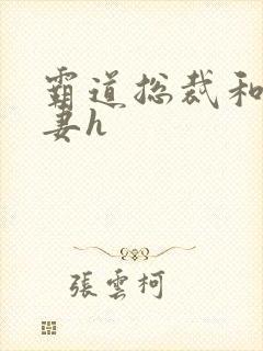 霸道总裁和小娇妻h