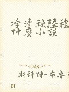 冷清秋陆程文是什么小说